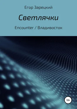 Егор Зарецкий Светлячки обложка книги