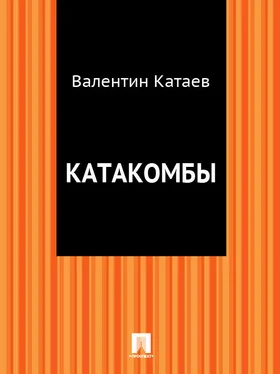 Валентин Катаев Катакомбы обложка книги