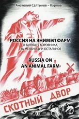 Анатолий Салтыков-Карпов - Россия на энимэл фарм