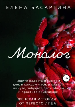 Елена Басаргина Монолог обложка книги