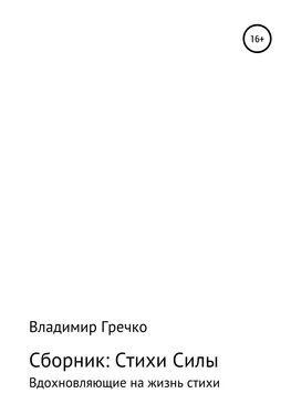 Владимир Гречко Стихи силы обложка книги