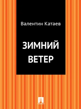 Валентин Катаев Зимний ветер обложка книги