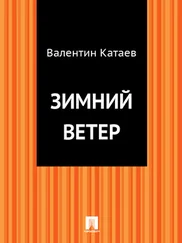 Валентин Катаев - Зимний ветер