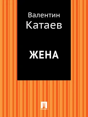 Валентин Катаев Жена обложка книги