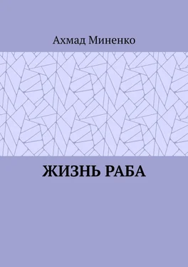 Ахмад Миненко Жизнь раба обложка книги