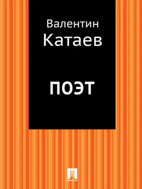 Валентин Катаев Поэт обложка книги