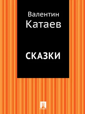 Валентин Катаев Сказки обложка книги