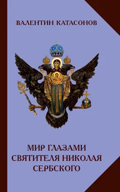 Валентин Катасонов Мир глазами святителя Николая Сербского обложка книги