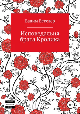 Вадим Векслер Исповедальня брата Кролика обложка книги