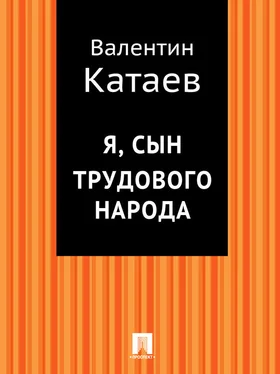 Валентин Катаев Я, сын трудового народа обложка книги