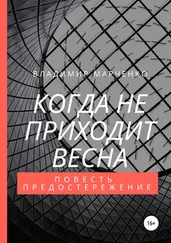 Владимир Марченко - Когда не приходит весна