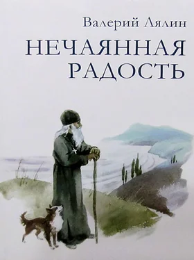 Валерий Лялин Нечаянная радость обложка книги