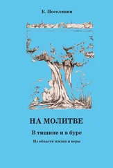 Евгений Поселянин - На молитве. В тишине и в буре