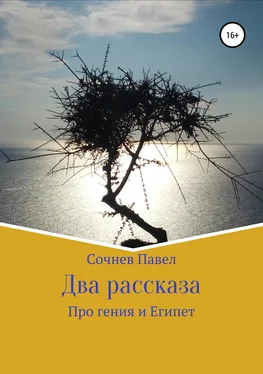 Павел Сочнев Два рассказа обложка книги