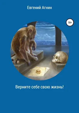 Евгений Агнин Верните себе свою жизнь! обложка книги