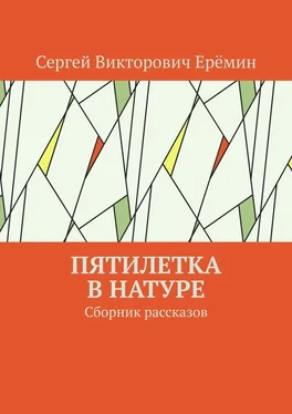 Сергей Ерёмин Пятилетка в натуре. Сборник рассказов обложка книги