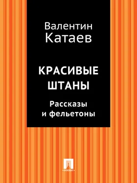 Валентин Катаев Красивые штаны. Рассказы и фельетоны (сборник) обложка книги