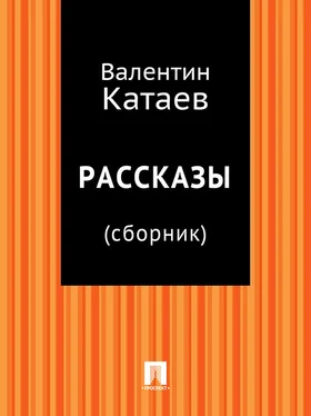 Валентин Катаев Рассказы (сборник) обложка книги