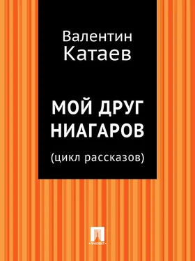 Валентин Катаев Мой друг Ниагаров (цикл рассказов) обложка книги