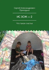 Сергей Приходько - ИС ЗОЖ – 2. Что такое счастье