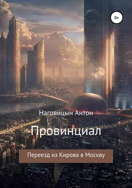 Антон Наговицын Провинциал обложка книги