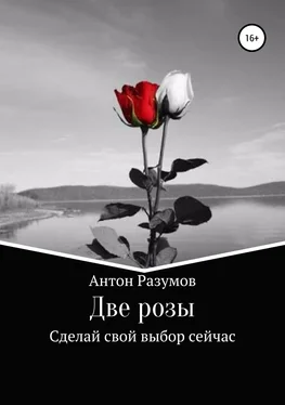 Антон Разумов Две розы обложка книги