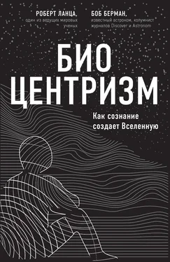 Боб Берман Биоцентризм. Как сознание создает Вселенную обложка книги