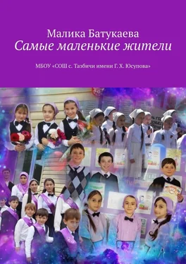 Малика Батукаева Самые маленькие жители обложка книги