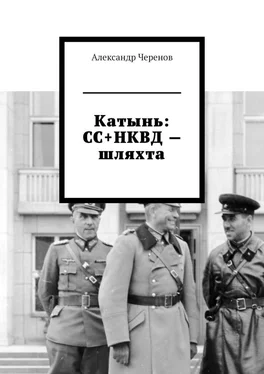 Александр Черенов Катынь: СС+НКВД – шляхта обложка книги