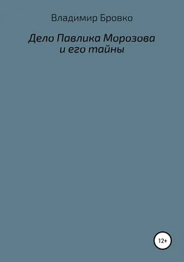 Владимир Бровко Дело Павлика Морозова и его тайны обложка книги