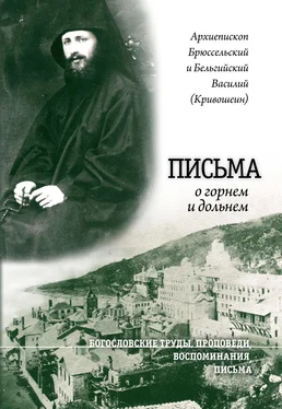 Архиепископ Василий (Кривошеин) Письма о горнем и дольнем обложка книги
