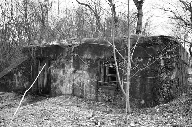 Дот на форту Риф Фото А Широкорада К июню 1941 г орудия Рифа входили в - фото 5