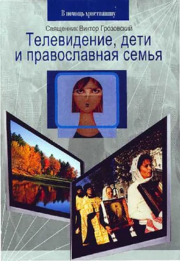 Священник Виктор Грозовский Телевидение, дети и православная семья обложка книги