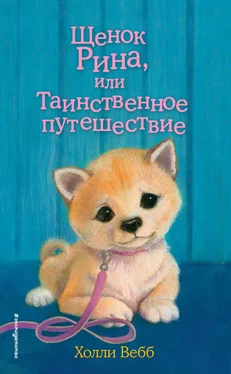 Холли Вебб Щенок Рина, или Таинственное путешествие обложка книги