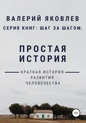 Валерий Яковлев - Простая история