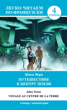 Жюль Верн Путешествие к центру Земли / Voyage au centre de la Terre обложка книги