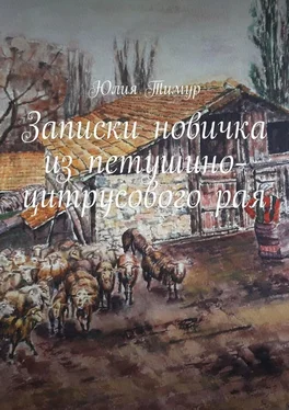 Юлия Тимур Записки новичка из петушино-цитрусового рая обложка книги