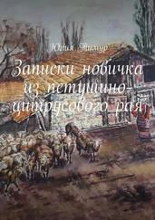 Юлия Тимур - Записки новичка из петушино-цитрусового рая