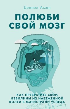 Дэниэл Амен Полюби свой мозг обложка книги