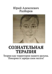 Юрий Разборов - Сознательная терапия. Теория как территория нашего разума. Покорми и заряди свои мозги!