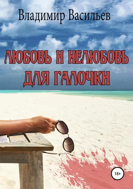 Владимир Васильев Любовь и нелюбовь для Галочки обложка книги
