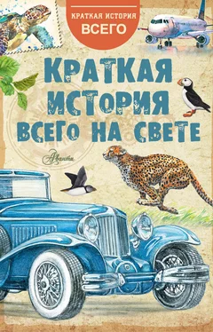 Коллектив авторов Краткая история всего на свете обложка книги