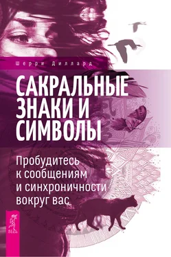 Шерри Диллард Сакральные знаки и символы. Пробудитесь к сообщениям и синхроничности вокруг вас обложка книги