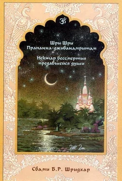 Свами Б. Р. Шридхар Нектар бессмертия предавшейся души обложка книги