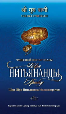 Шрила Бхакти Сундар Говинда Дев-Госвами Махарадж Чудесный нектар славы Шри Нитьянанды Прабху Шри Шри Нитьянанда Махимамритам обложка книги