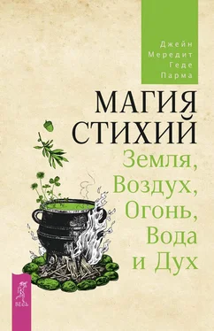 Джейн Мередит Магия стихий: Земля, Воздух, Огонь, Вода и Дух обложка книги