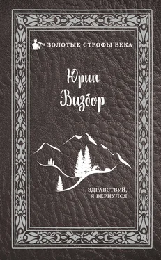 Юрий Визбор Здравствуй, я вернулся обложка книги