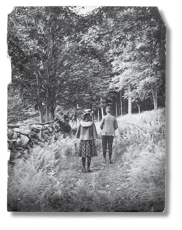 О фотографиях Иллюстрации к этой книге являются настоящими старинными - фото 66