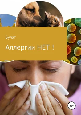 Булат Аллергии НЕТ! обложка книги