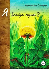 Самвел Аветисян - Я всегда один 2